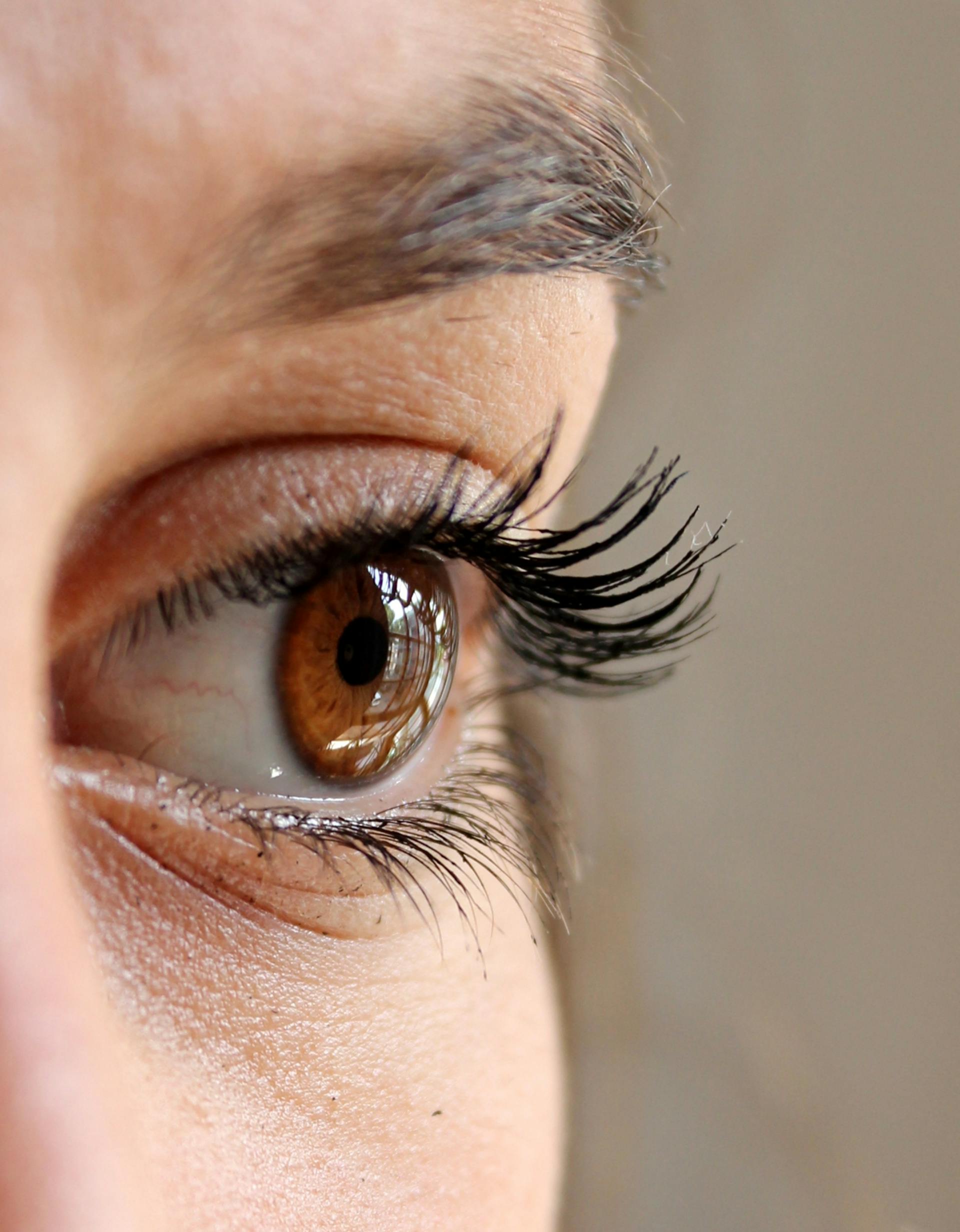 Volume Lashes