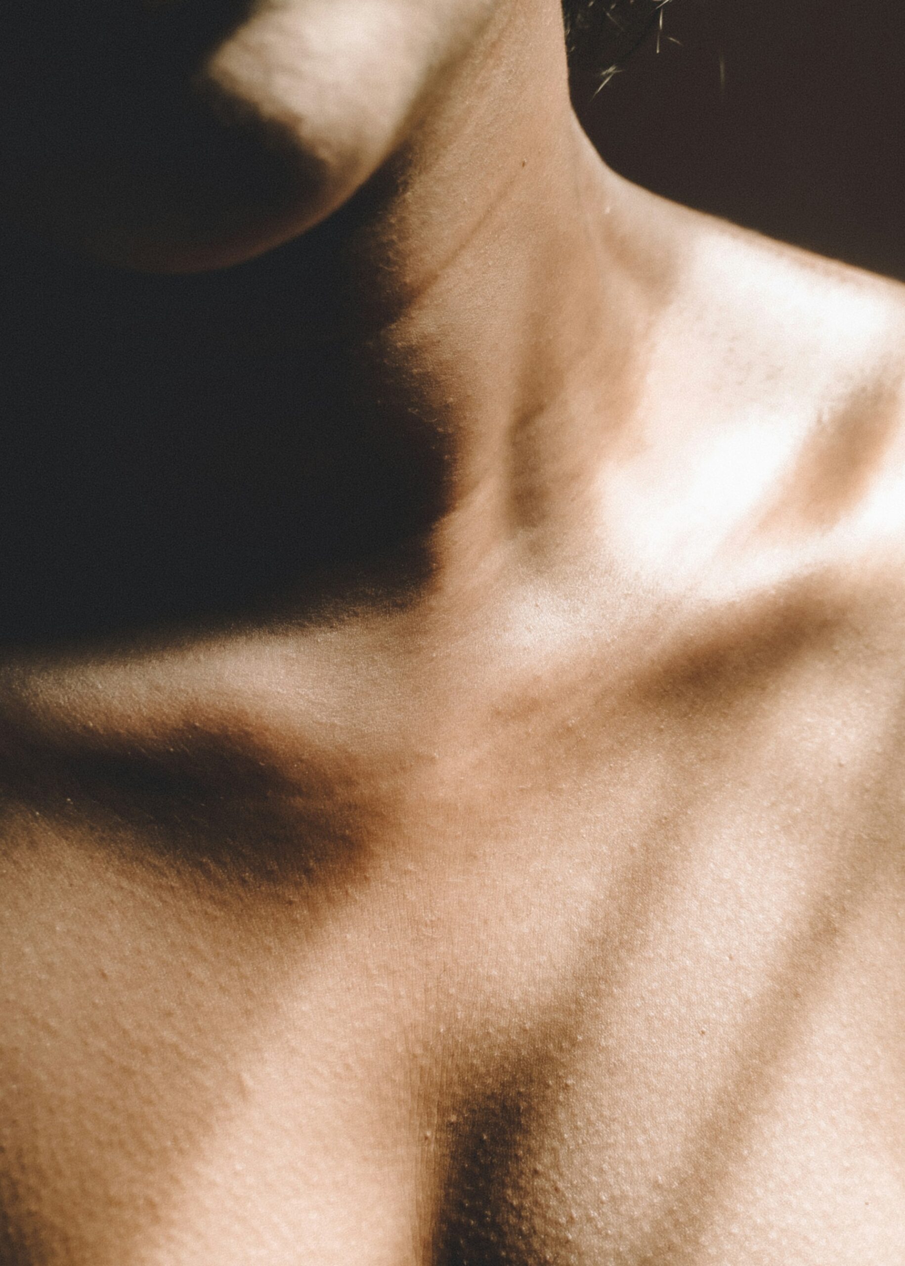 Chest
